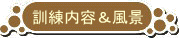 �P�����e�ƕ��i