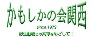 ̉֐